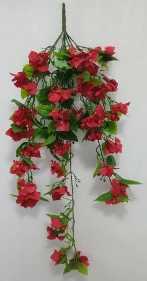 Bougainvillea Creeper 100cm